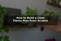 How to Build a Clear Plants Plan From Scratch How to Build a Clear Plants Plan From Scratch