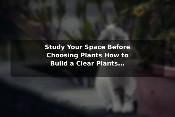 Study Your Space Before Choosing Plants How to Build a Clear Plants Plan From Scratch