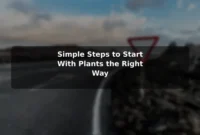Simple Steps to Start With Plants the Right Way Simple Steps to Start With Plants the Right Way