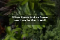 When Plants Makes Sense and How to Use It Well When Plants Makes Sense and How to Use It Well
