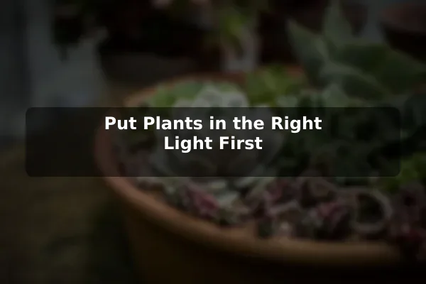 Put Plants in the Right Light First