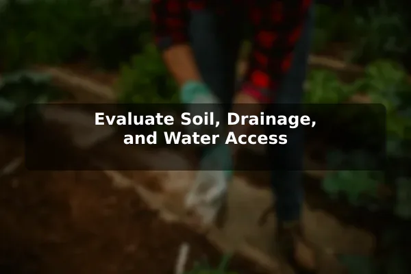 Evaluate Soil, Drainage, and Water Access