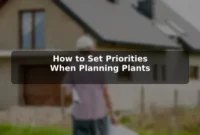 How to Set Priorities When Planning Plants How to Set Priorities When Planning Plants