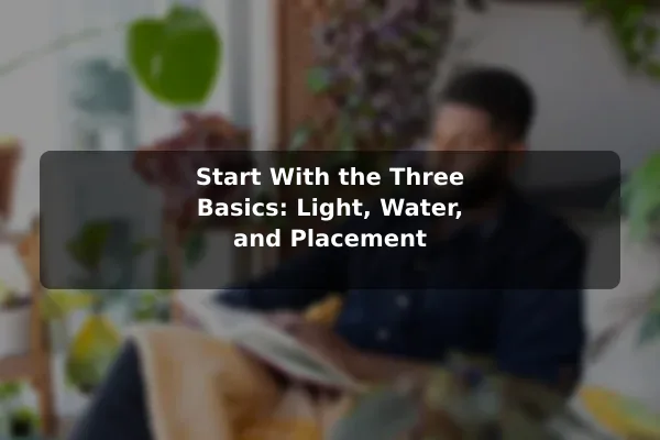 Start With the Three Basics: Light, Water, and Placement
